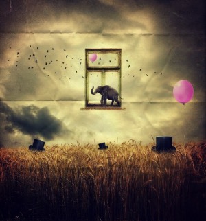 ruyada mutfak esyasi satin almak sahihruyalar com